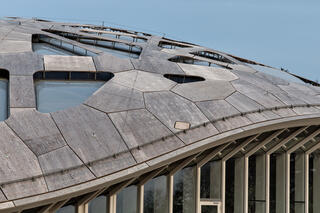Elefantenpark, Zoo Zürich, Fischer Architekten AG
